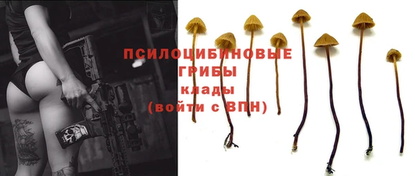 apvp Корсаков