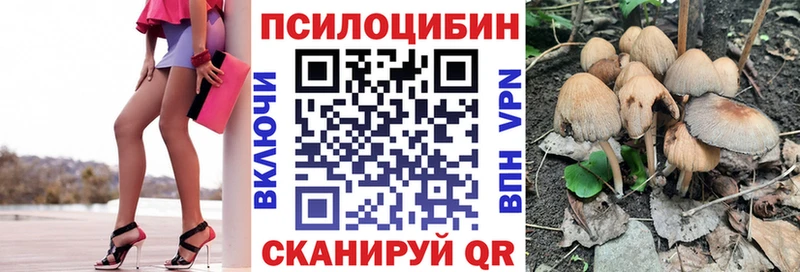 Купить  Подпорожье  Галлюциногенные грибы прущие грибы 
